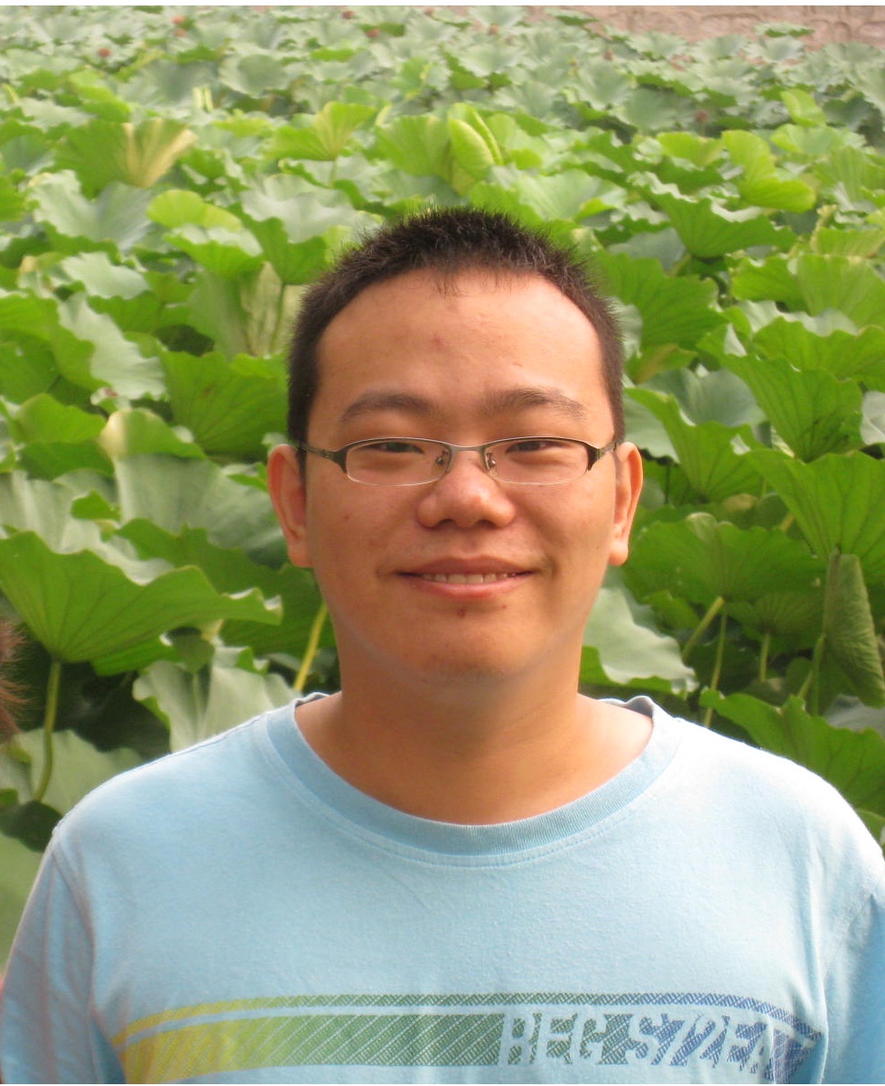 Yang Yang