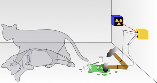 Schrodinger's cat